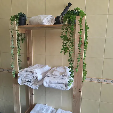 Hyria Intero In Centro Citta *